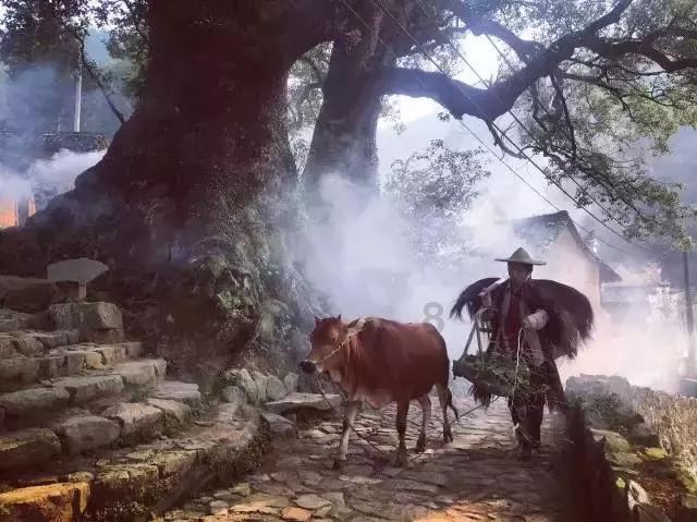懂车的，哪吒V好开吗，配置怎么样？游戏画面
